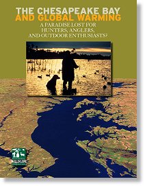 The Chesapeake Bay and Global Warming: A Paradise Lost for Hunters, Anglers, and Outdoor Enthusiasts?