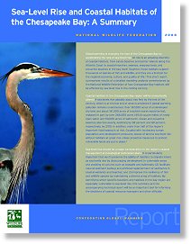 National Wildlife Foundation - Sea Level Rise and Coastal Habitats of the Chesapeake Bay